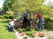 Gardening,  Window and  Gutter Cleaning