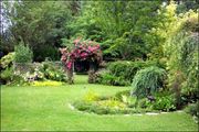 ACE GARDENING SERVICES