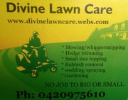 Divine Lawn Care And Yard Maintenance 