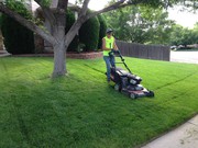 lawn and gardening service cairns