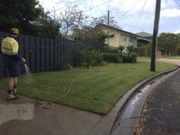 Professional Landscaping Contractors Brisbane 