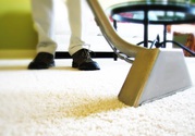 Professional Carpet Cleaning Service in Brunswick