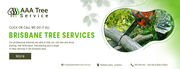 No more hassle of removing trees with AAA Tree Service 