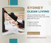 Keep Your Carpet with Carpet Cleaning Professionals in Sydney!