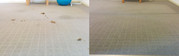 Carpet cleaning services near me