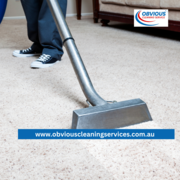 Need a Trusted Carpet Cleaner in North Brisbane?