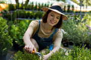  Lawn Mowing Services Melbourne | I Love Gardening